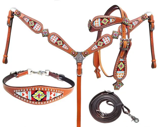 Multi Colored Beaded Headstall Set